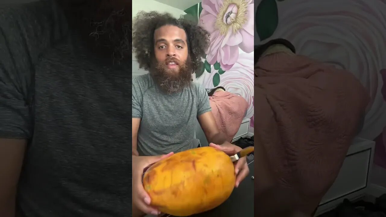 rock Mercury enjoys delicious, fresh papaya live