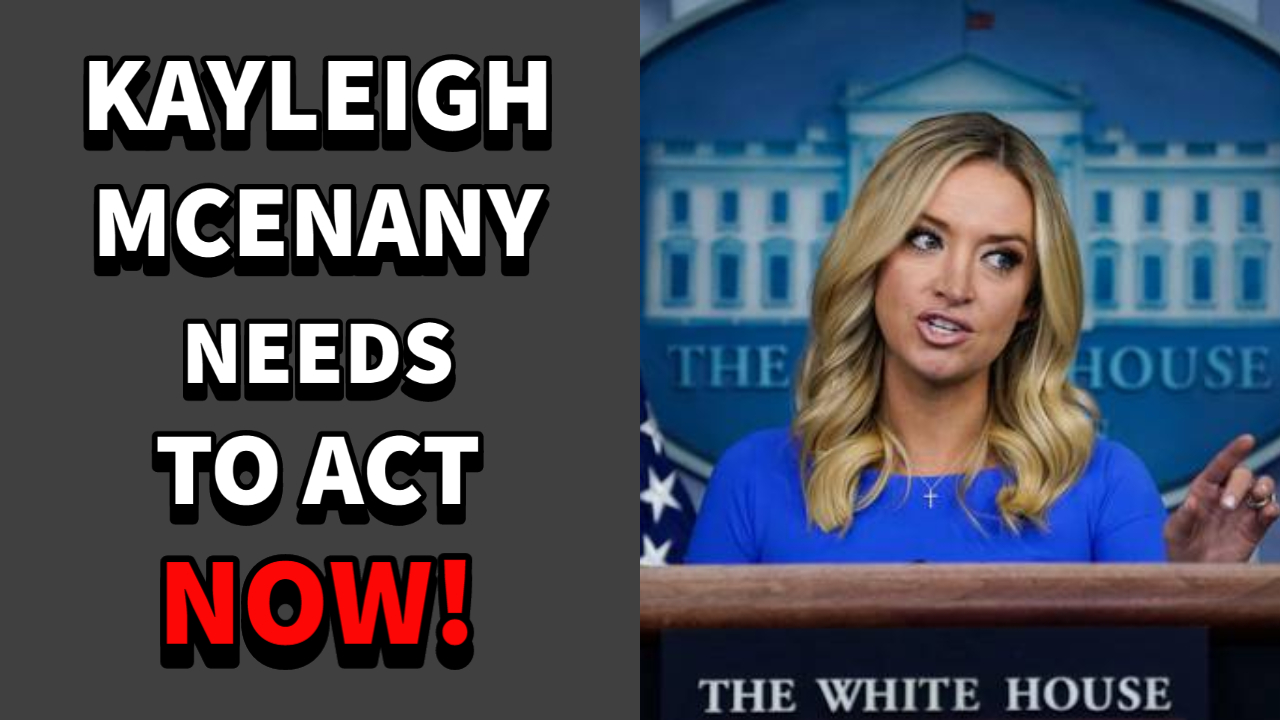 Kayleigh Mcenany Lets LOOSE On MSM Hacks Over Election Fraud, But Trump MUST Hurry!