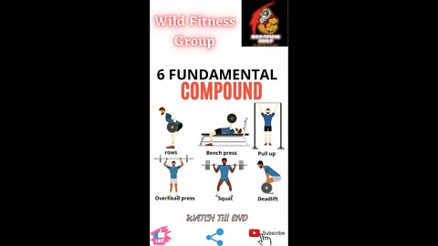 🔥6 fundamental compound🔥#fitness🔥#wildfitnessgroup🔥#shorts🔥