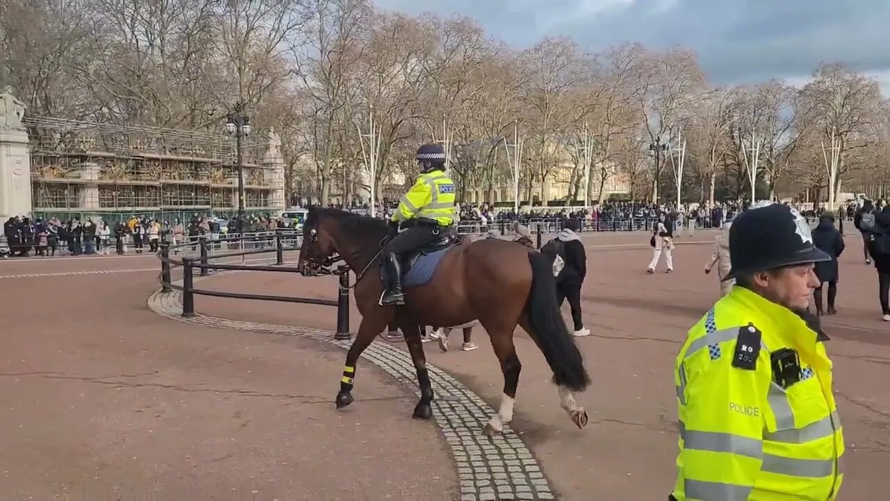 mounted met police #buckinghampalace