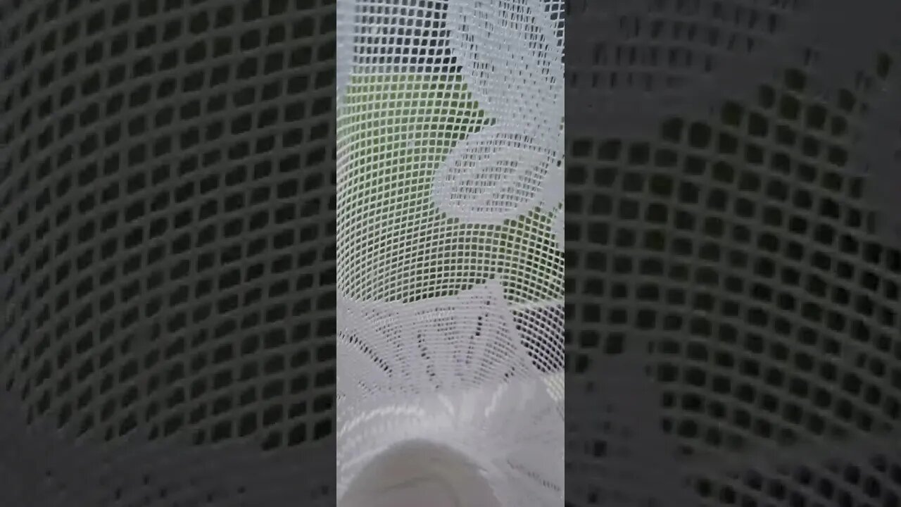 morning view on the 25th of March enjoy