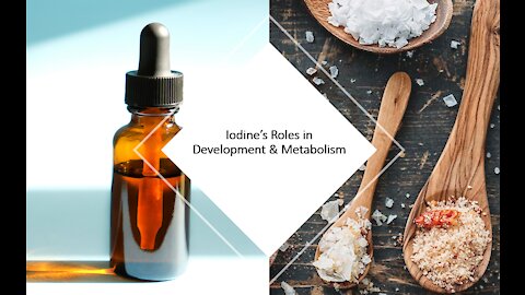 Iodine's Benefits in Pregnancy