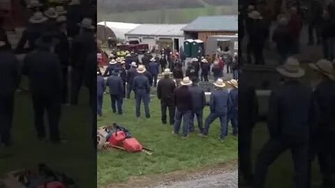 Amish Auction #amishcommunity