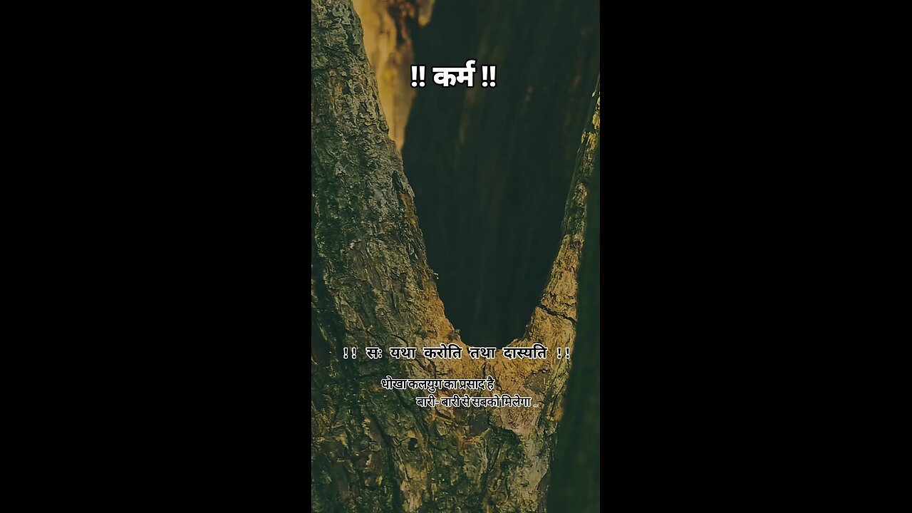 Life lessons