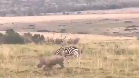 #funny #love #funny #viral