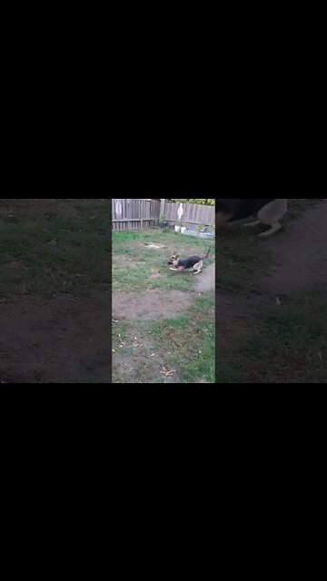 Do What Makes You Happy #shorts