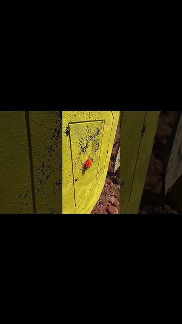 HV Star 12 Gauge Rounds