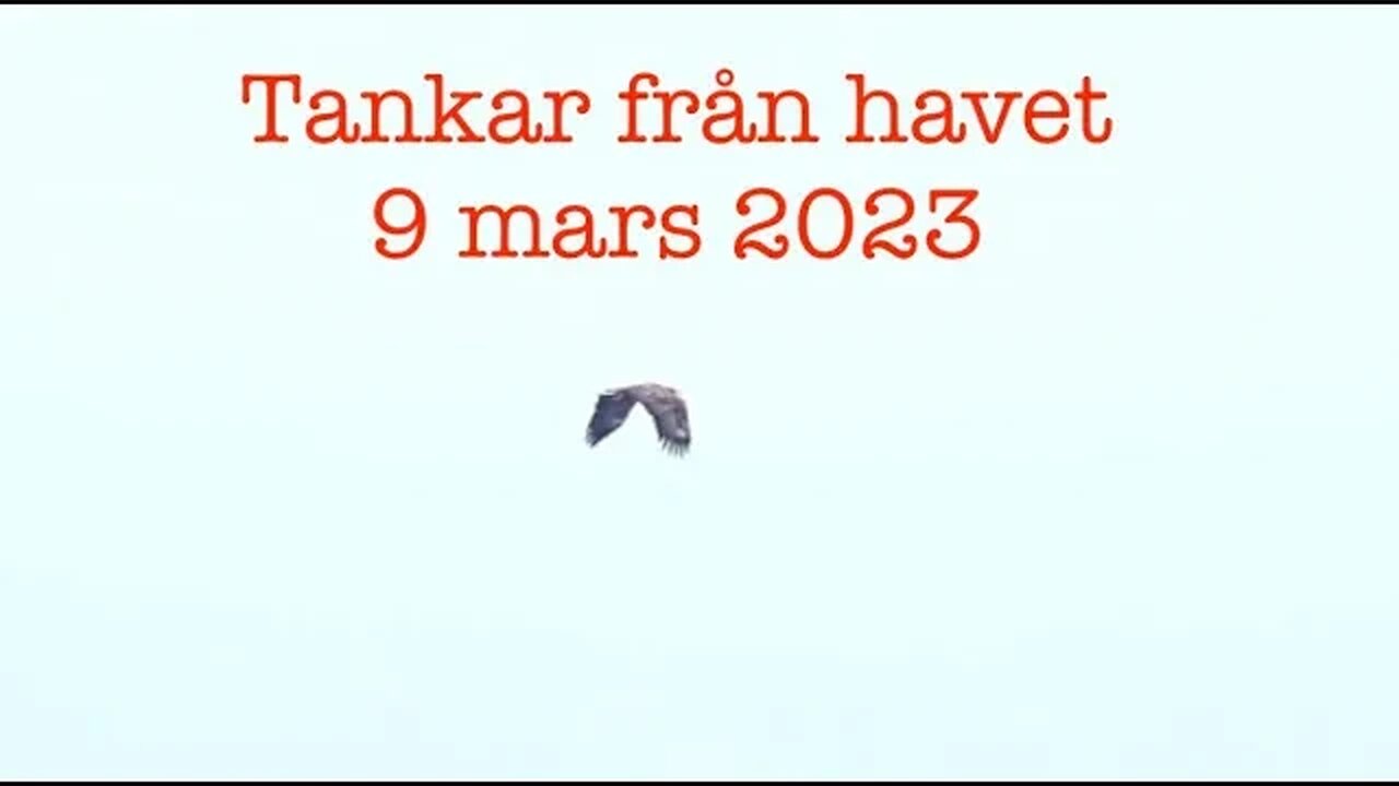 Tankar från havet 9 mars 2023