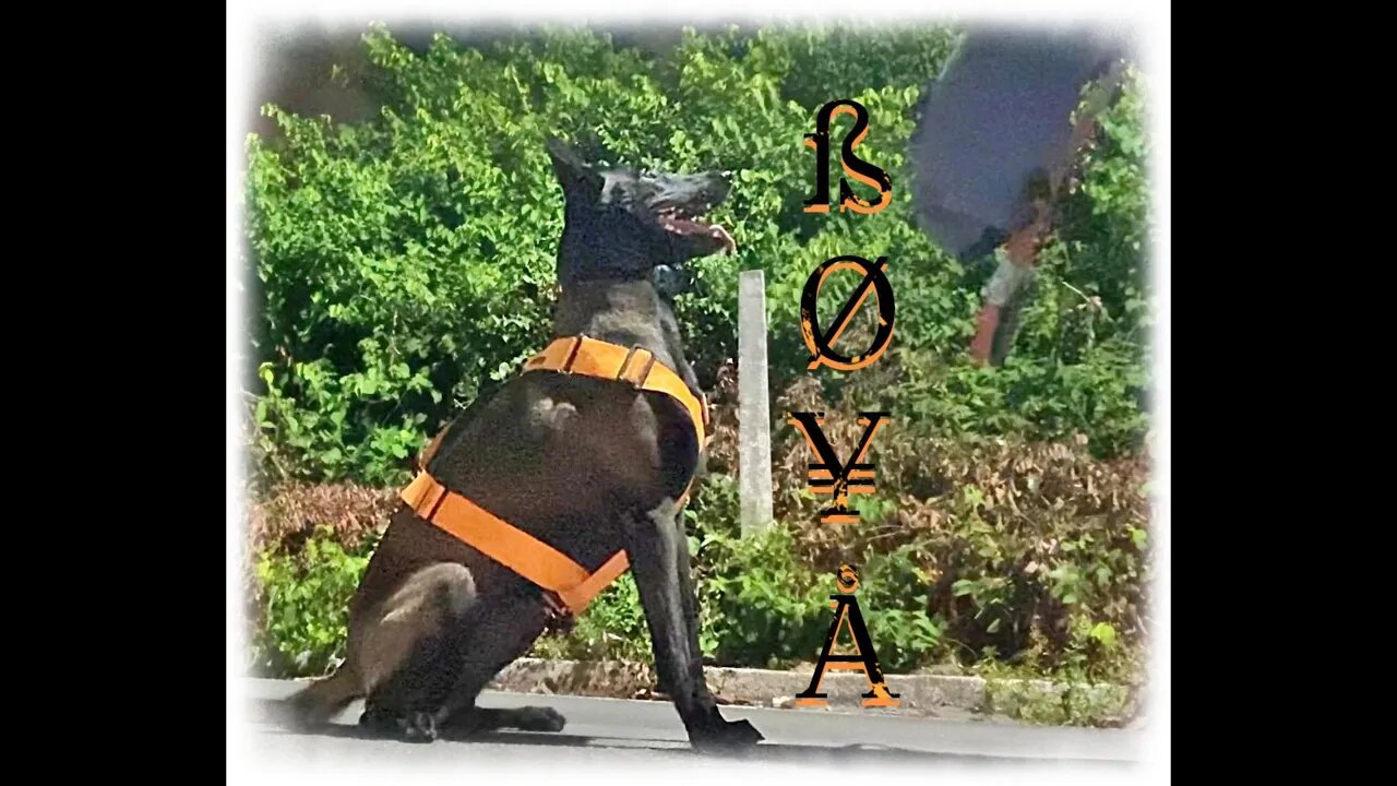 Treino na Rua com ß Ø ¥ Å . 10.05.2023