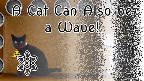 A cat can also be a wave! Let Me Explain Why |⚛