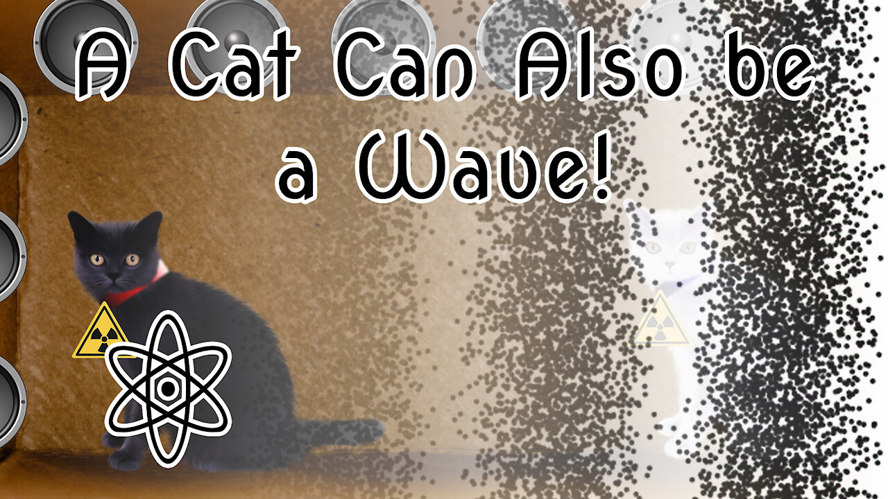 A cat can also be a wave! Let Me Explain Why |⚛