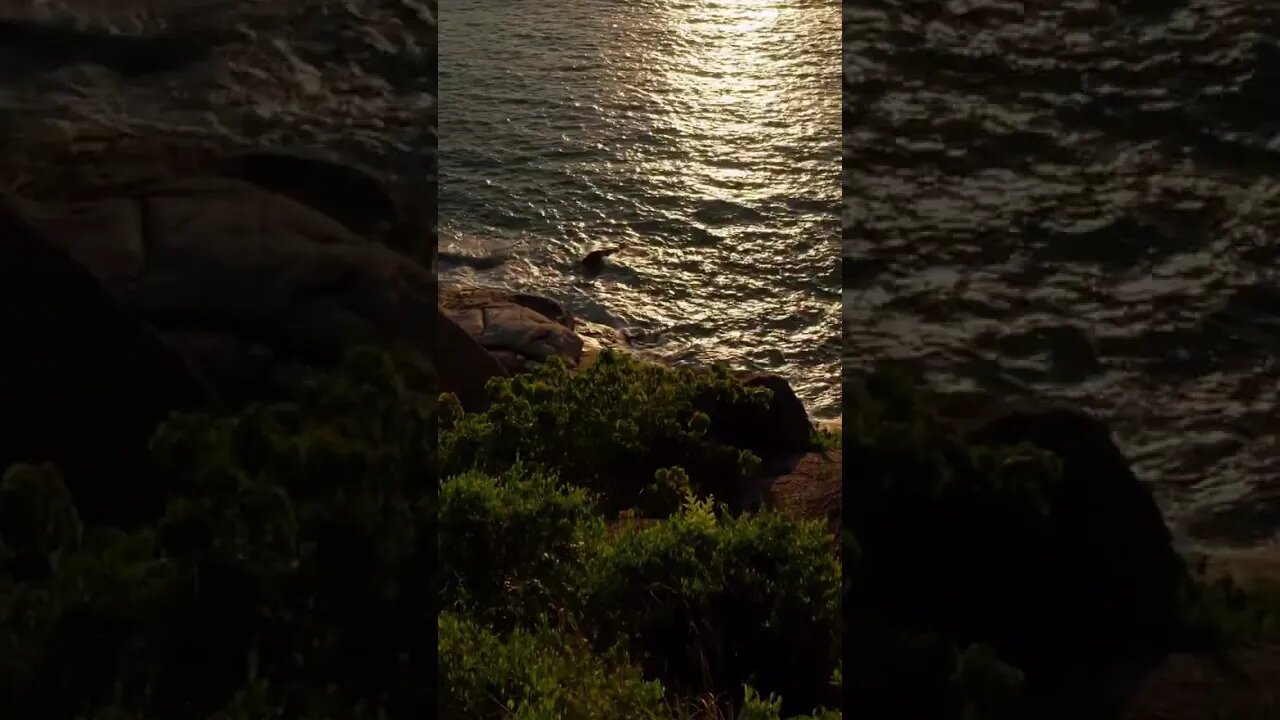 "I Am Enough": 10 Minute Guided Meditation for Inner Peace and Self-Acceptance