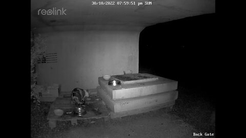 Mother multi & ninja