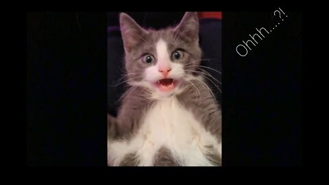 So cute....