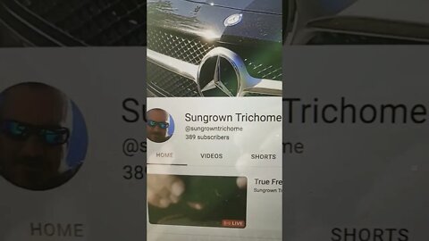 Brad Where Are You ?