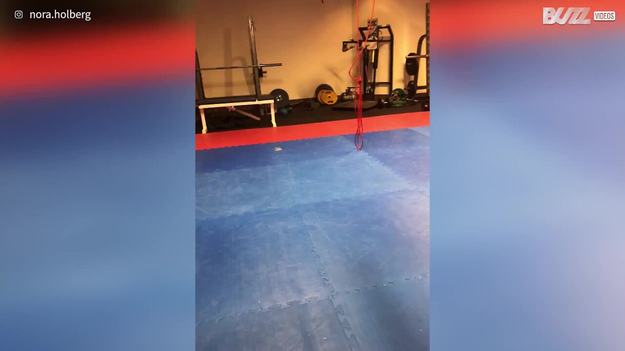 Brincadeira com bolas em ginásio acaba muito mal