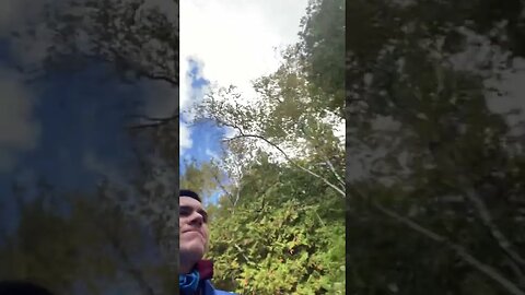 Mackinac Island 20
