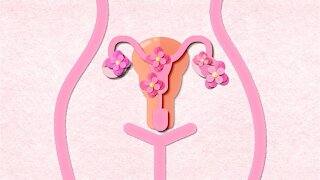 7 Reasons Why Your Period Might Be Late