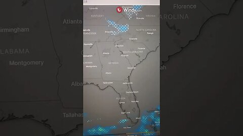 Tony Pizza Weather Report