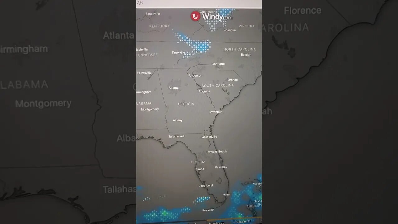 Tony Pizza Weather Report