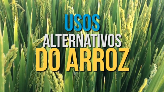 Os Incríveis Usos Alternativos do Arroz