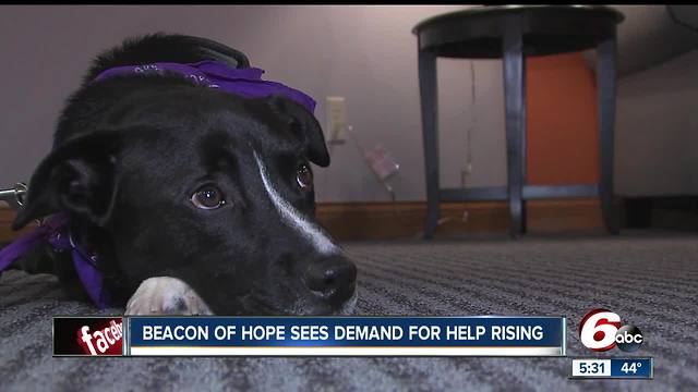 Beacon of Hope Crisis Center adds trauma therapy dog