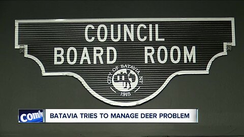 Batavia forming deer management committee