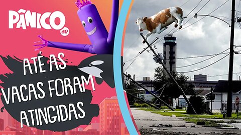 TEMPESTADE IDA CAUSA ESTRAGOS NOS ESTADOS UNIDOS APÓS SER REBAIXADA DE FURACÃO