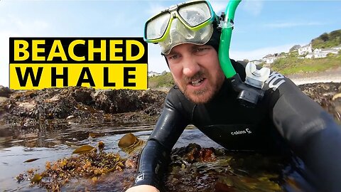 HOW NOT TO ENTER THE WATER WHEN SNORKELLING