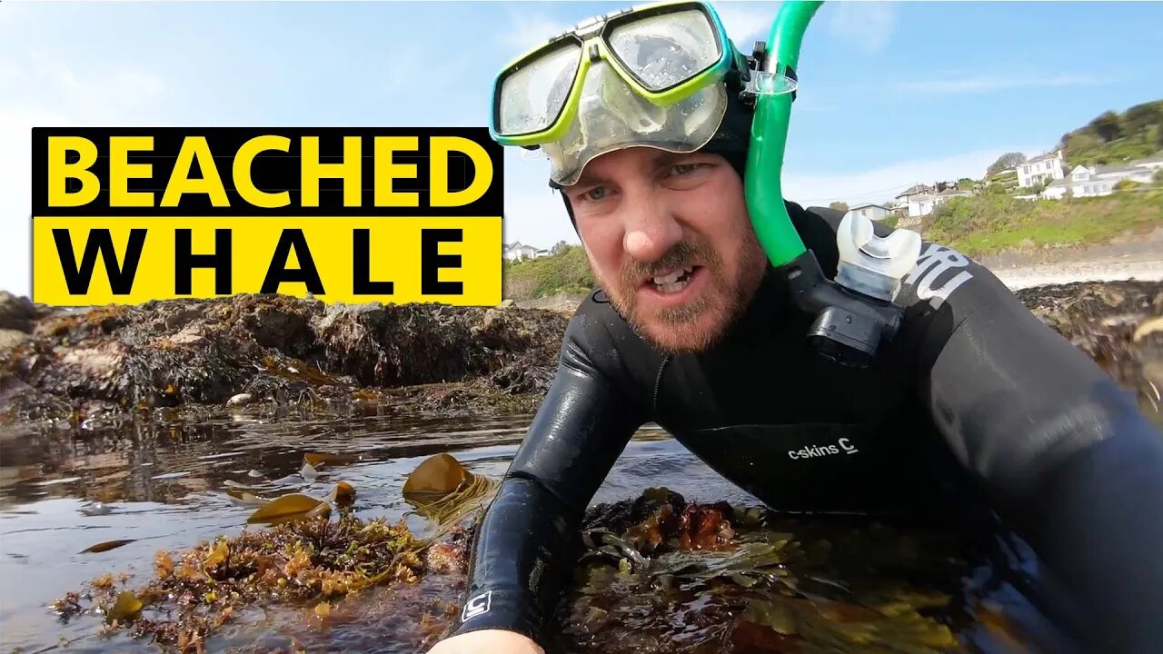HOW NOT TO ENTER THE WATER WHEN SNORKELLING
