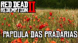 Localização da Papoula das Pradarias RDR2
