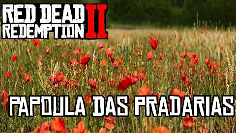 Localização da Papoula das Pradarias RDR2