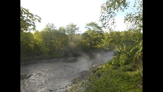Video 22 Dream Stream Revisted Late Spring, Early Morning