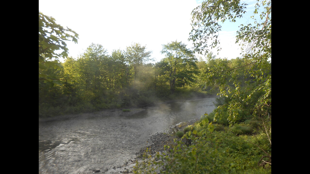 Video 22 Dream Stream Revisted Late Spring, Early Morning
