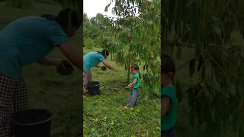 feeding the new Farm