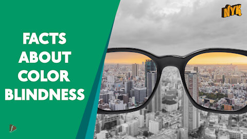 Top 4 Facts About Color Blindness