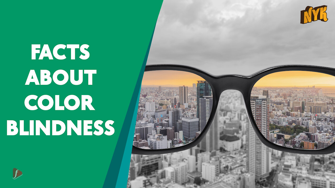 Top 4 Facts About Color Blindness