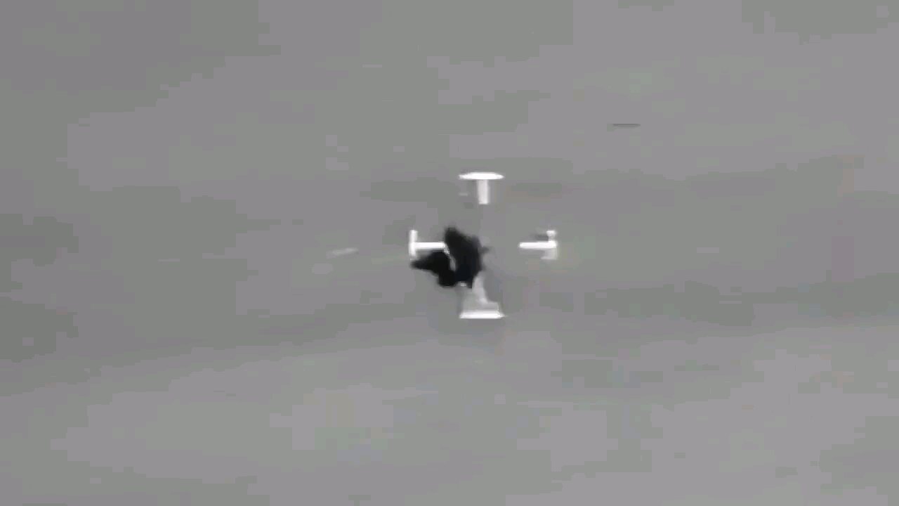 UAP Spotted on military Surveillance equipment.