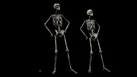 BLACK SHERIFF SOJA SKELETON DANCE