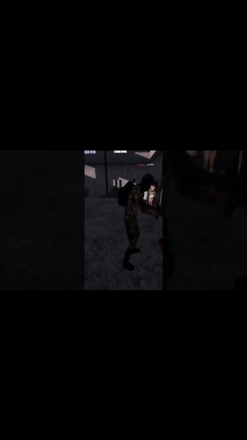 DISARRAY - APARECEU UM INTRUSO - DAYZ MOBILE