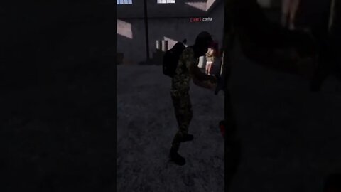 DISARRAY - APARECEU UM INTRUSO - DAYZ MOBILE