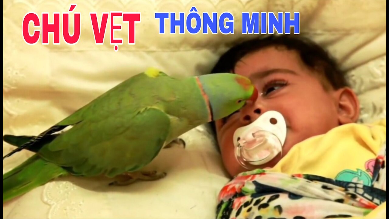 The parrot takes care of the baby "and is adorable