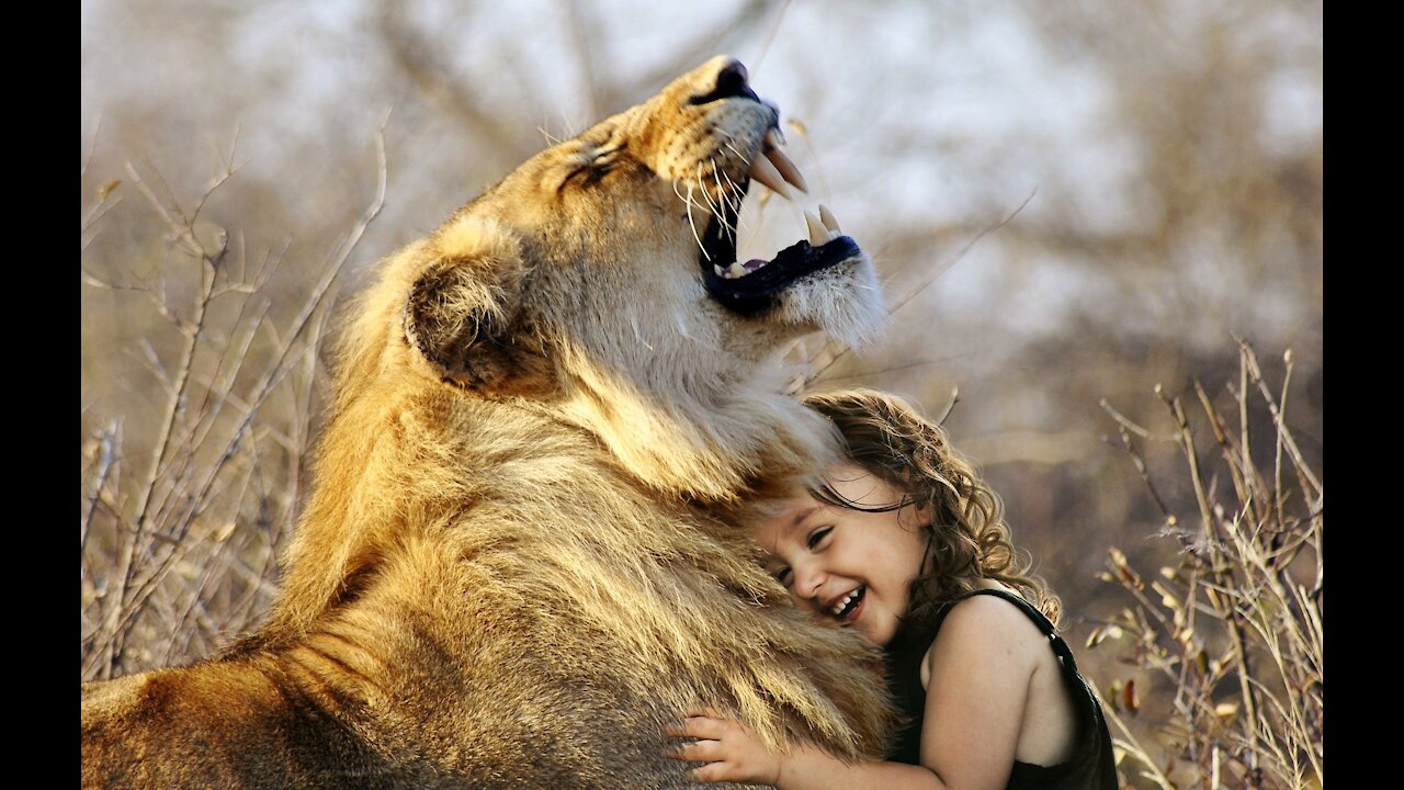 A child playing with a lion