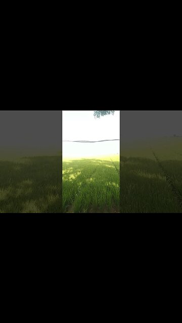 Sore hari di pesawahan