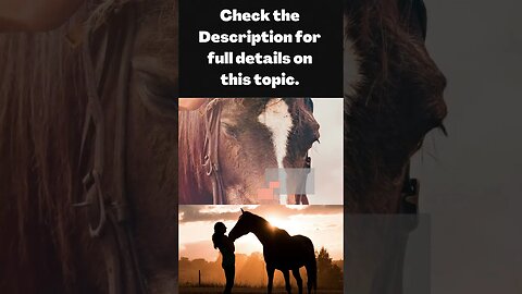 How to Groom a Horse Tips