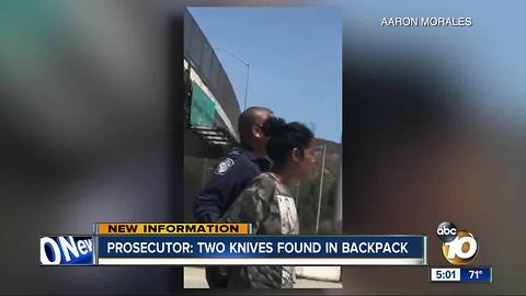 Prosecutor: two knives found alleged kidnapper's in backpack