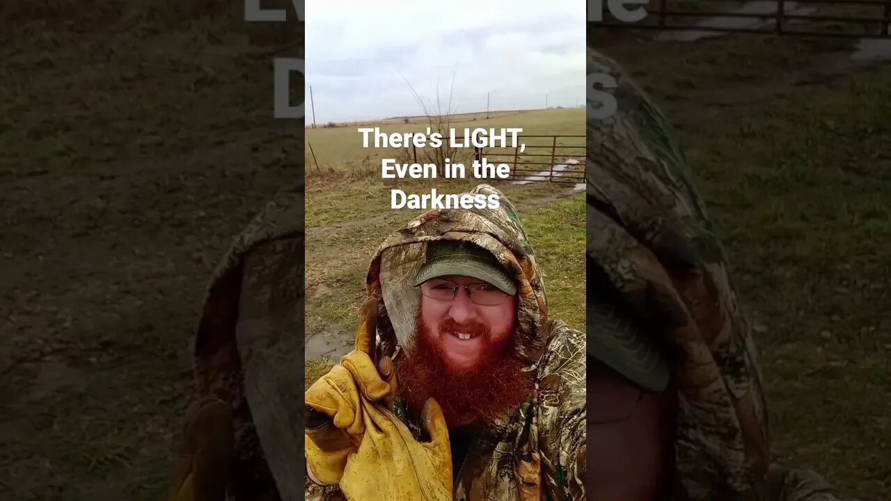 Light In the Dark.