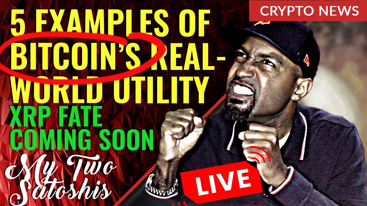 5 Examples of Bitcoin's Real-World Use | TikTok Bans "WLM" | Bitcoin ETF Liquidated!