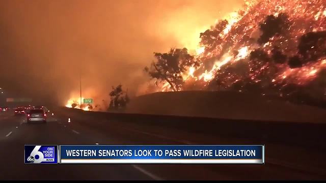 Western senators push wildfire legislation after most expensive firefighting season on record