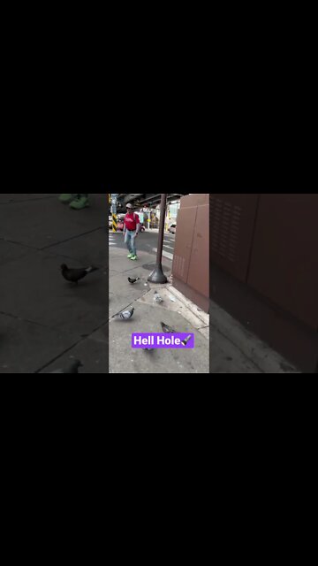 Walking in the Dark 🔦